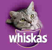 Whiskas comida gatos